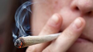 Dutch weed ban for foreigners disregarded