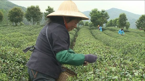 A agricultura como trabalho de futuro