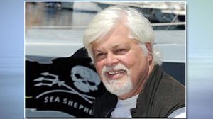 Sea Shepherd founder ‘arrested in Germany’