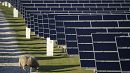 Germany breaks solar energy record