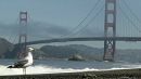 California: Iconic bridge celebrates 75th birthday