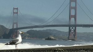 Golden Gate: i 75 anni del ponte più ‘distrutto’ dal cinema