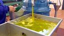 Debt hit countries suffer from olive oil price dip