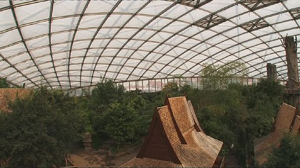 Stefan Lehnert: inventor of the biodome