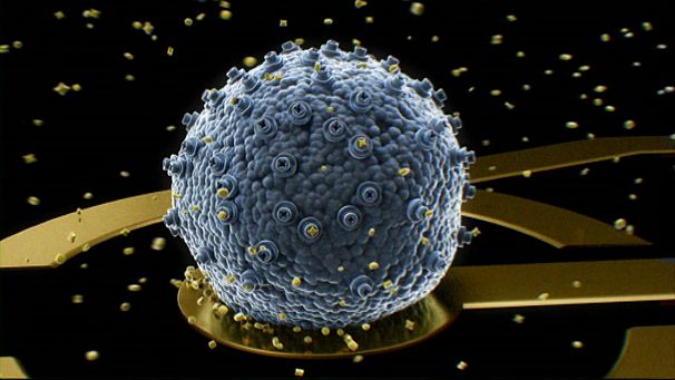 The lifesaving device that can smell cancer
