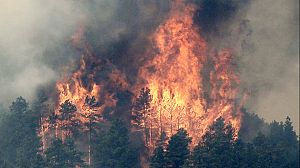 Wildfire rages in US state of Colorado