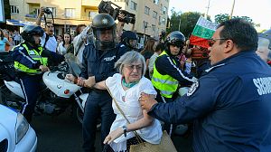 Several arrests after Bulgaria forestry law approved