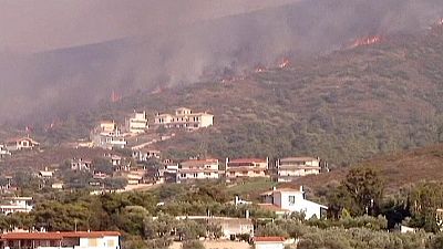 First summer wildfires rage in Greece First summer wildfires rage in Greece