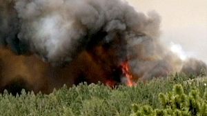 Homes destroyed as wildfires rage in western US