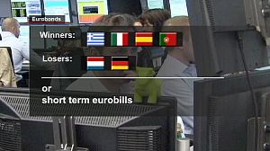 Euro crisis – the winners and the losers