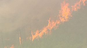 Spain: Wildfire debris reaches third biggest city