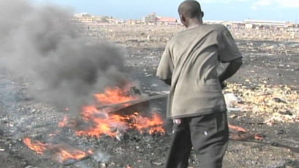 Eco-crime in EU booming, report says
