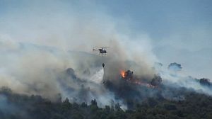 Hundreds evacuated as wildfire ravages Sardinia