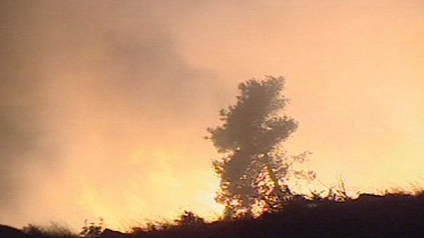 Montenegro wildfires threaten homes in Podgorica