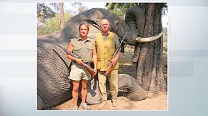 WWF fires King of spain