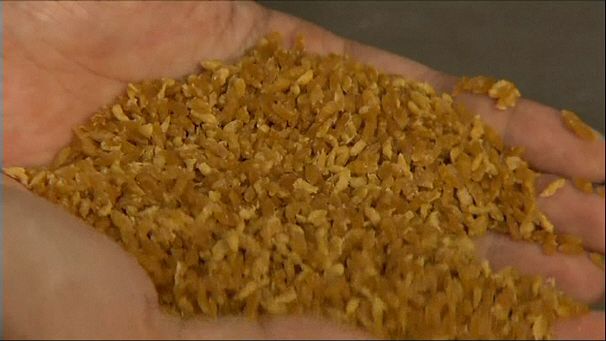 Breaking the Indonesian rice habit