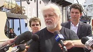 Sea Shepherd conservationist skips bail
