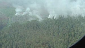 Siberia tra le fiamme. Putin annuncia fondi per gli aiuti