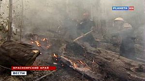 Russia forest fires leave ‘green deserts’