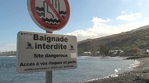 Surfer injured in latest shark attack