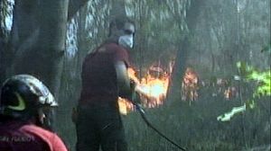 Two dead in Italy forest fires