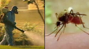 Usa: pesticidi su Dallas contro virus del Nilo Occidentale