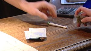 Dutch campaign to stop ‘cannabis card’ law