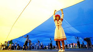 Tymoshenko supporters stage Independence Day protest in Kiev