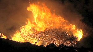 Fires rage on Spain’s Costa del Sol