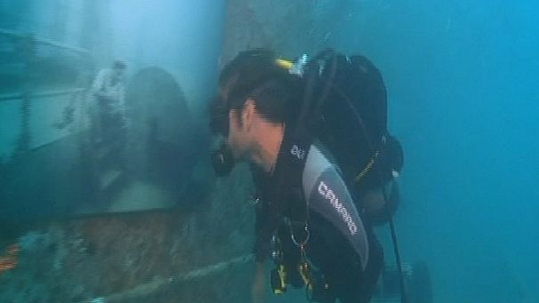The artful diver