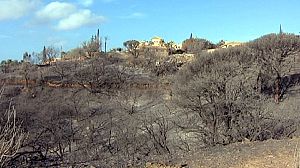 España: estabilizado el incendio en la Costa del Sol