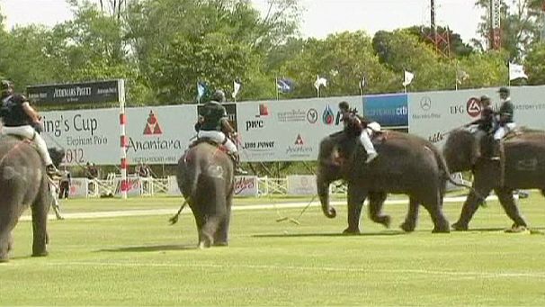 Elephant Polo in Thailand