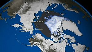 Arctic ice gone by 2016, says polar expert