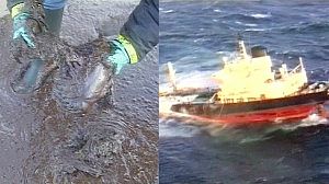 French court upholds Erika verdict