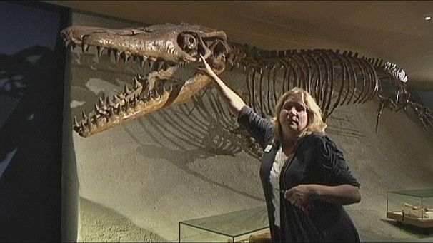 Fossil hunters turn up mammoth find