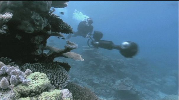 Explore Great Barrier Reef… without getting wet