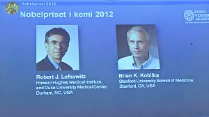 Los estadounidenses Robert Lefkowitz y Brian Kobilka ganan el Nobel de Química 2012
