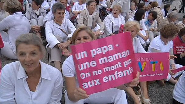 Anti-gay wedding protests in France