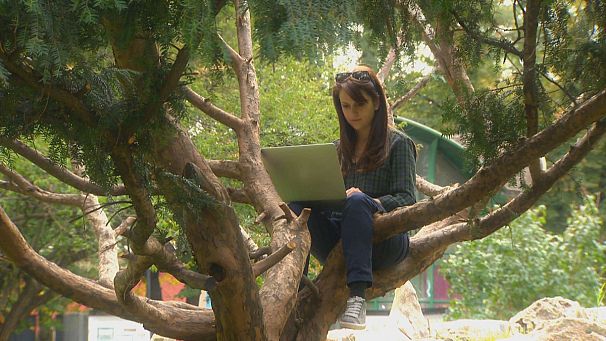 Turning e-skills into jobs