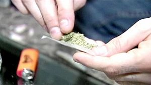 Colorado und Washington legalisieren Marihuana-Besitz