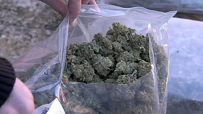 Spanish police bust major drug-smuggling ring Spanish police bust major drug-smuggling ring