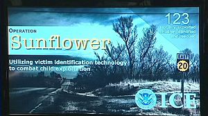 Hundreds of arrests in US pornography swoop