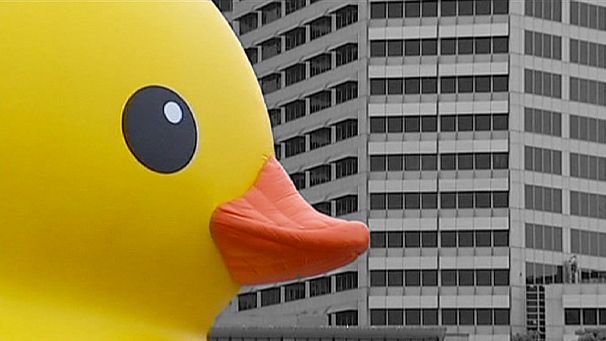 Strewth, that’s a big duck!