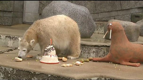 Happy birthday Anori!