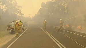 100 missing in Tasmania bush fires