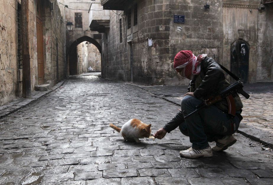Meanwhile in Aleppo Meanwhile in Aleppo