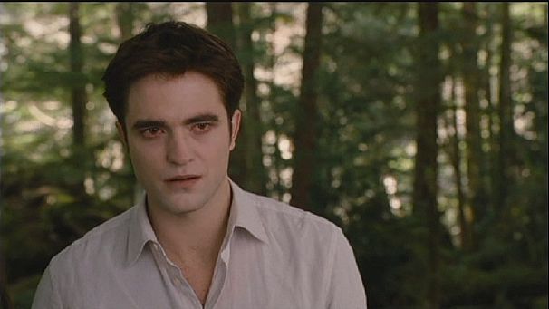 ‘Twilight’ bids to be year’s top turkey