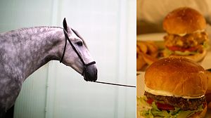 Horse meat found in burgers in UK and Ireland