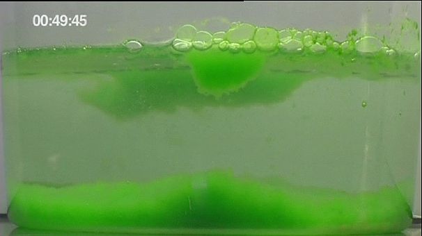 Micro-algae is new energy source