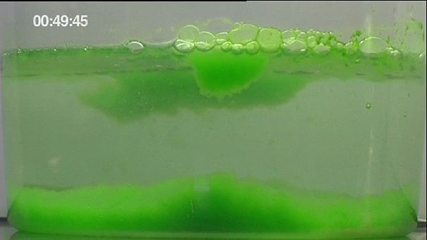 Micro-algae is new energy source